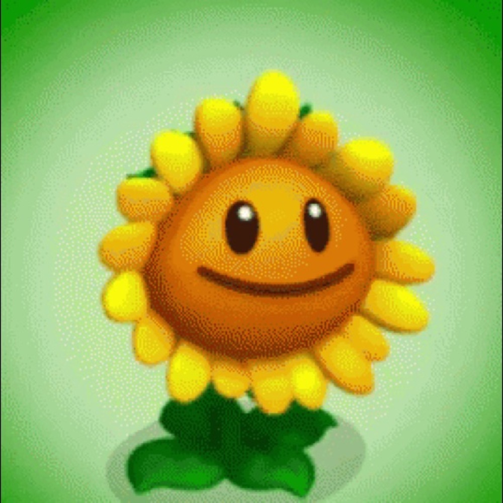 Meet your Posher, Bea